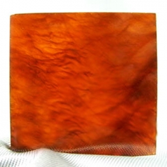 Tortoise Shell - 1000